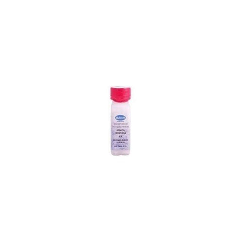 Hyland's Arnica Mont 6x (1x250 TAB)