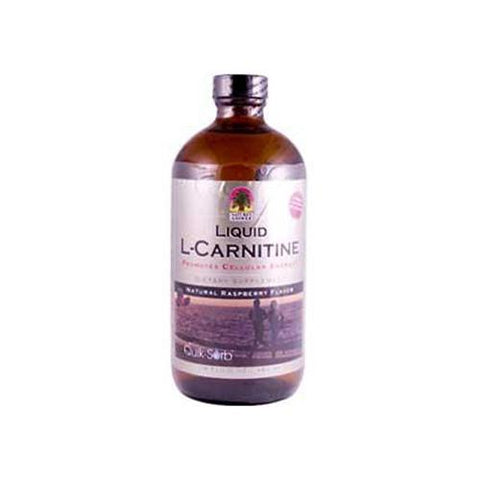 Nature's Answer Liquid L-Carnitine Natural Raspberry (16 fl Oz)
